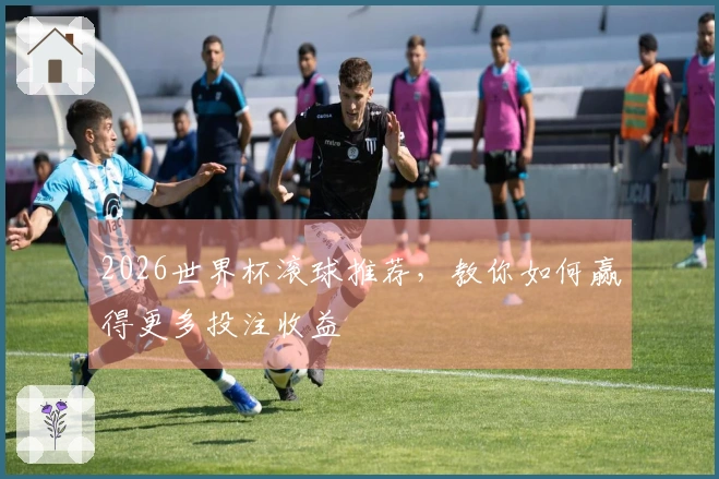2026世界杯滚球推荐，教你如何赢得更多投注收益