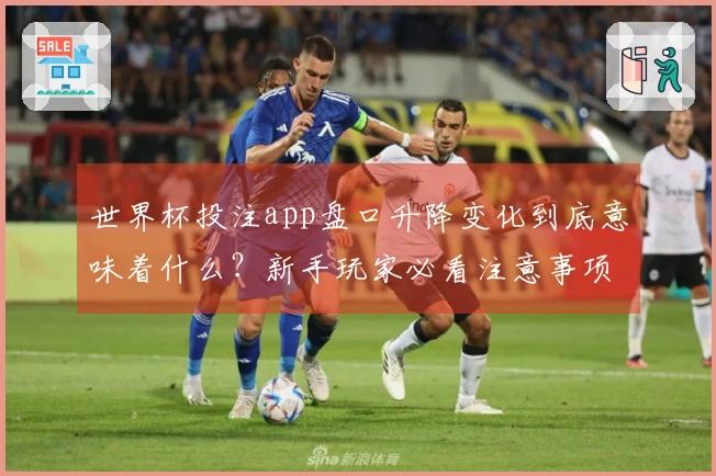 世界杯投注app盘口升降变化到底意味着什么？新手玩家必看注意事项