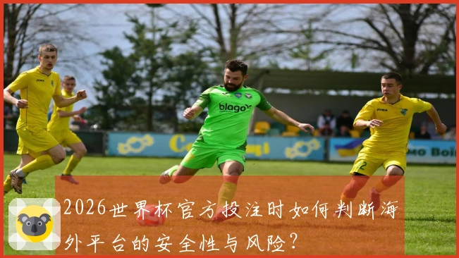 2026世界杯官方投注时如何判断海外平台的安全性与风险？