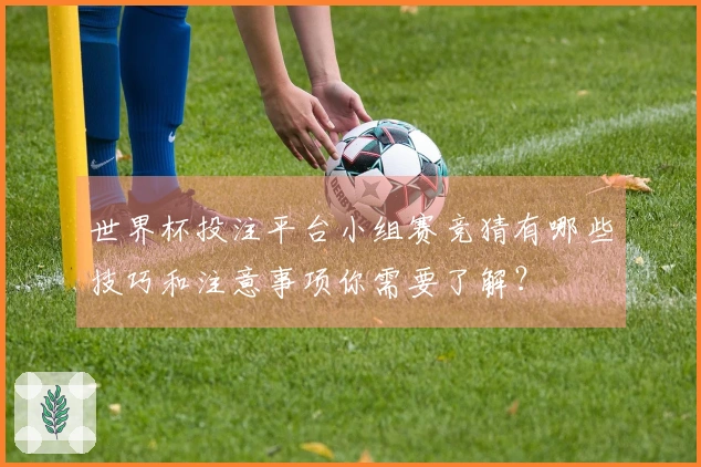 世界杯投注平台小组赛竞猜有哪些技巧和注意事项你需要了解？