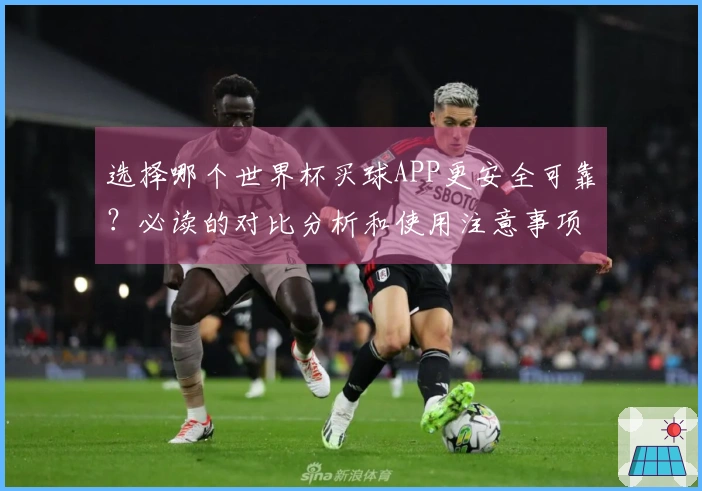 选择哪个世界杯买球APP更安全可靠？必读的对比分析和使用注意事项