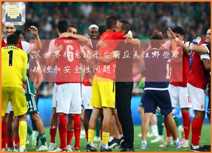 买世界杯竞猜平台前应关注哪些合规性和安全性问题？
