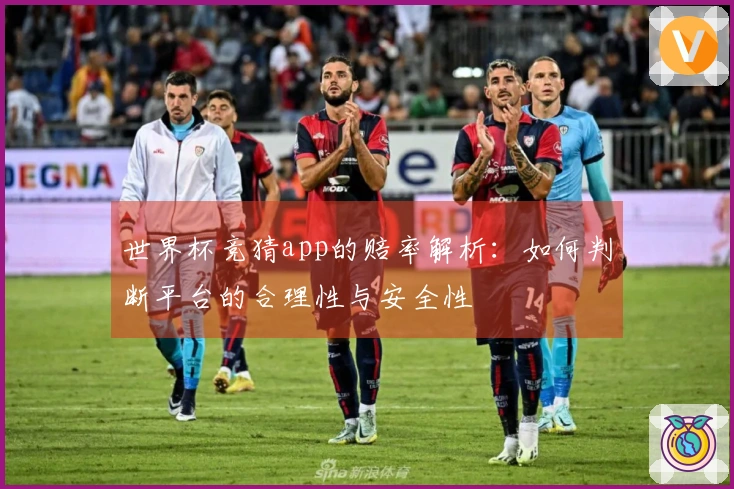 世界杯竞猜app的赔率解析：如何判断平台的合理性与安全性