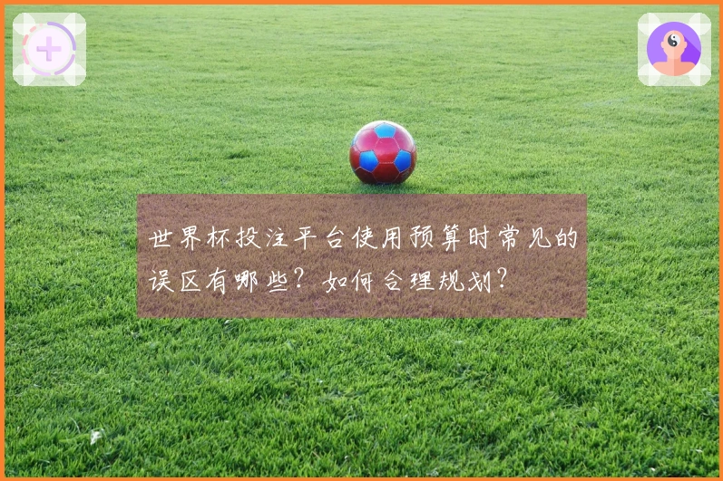 世界杯投注平台使用预算时常见的误区有哪些？如何合理规划？