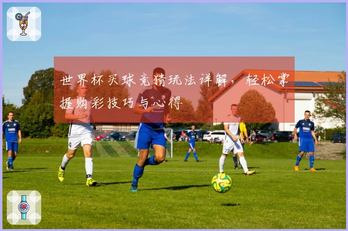 世界杯买球竞猜玩法详解，轻松掌握购彩技巧与心得