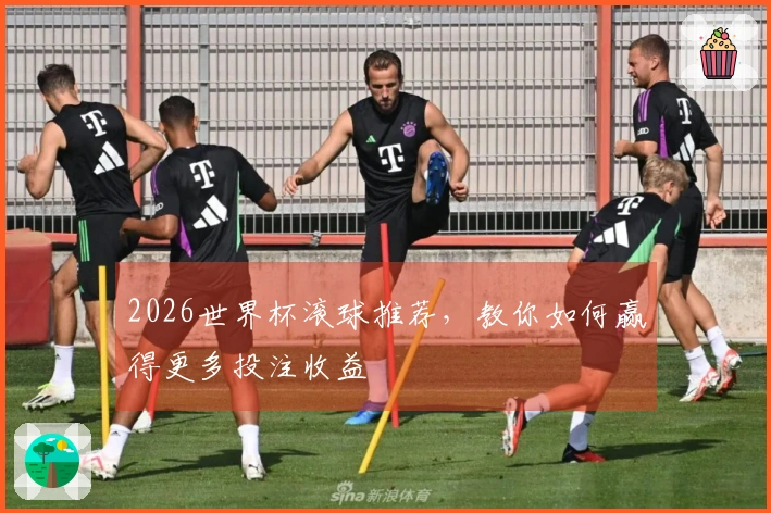 2026世界杯滚球推荐，教你如何赢得更多投注收益