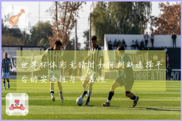 世界杯体彩竞猜时如何判断选择平台的安全性与可靠性