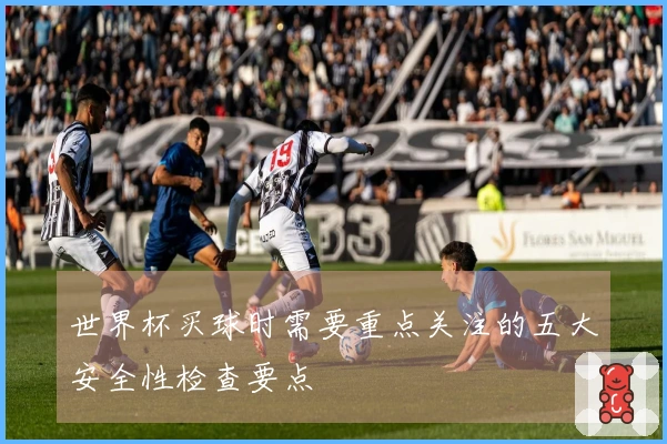 世界杯买球时需要重点关注的五大安全性检查要点