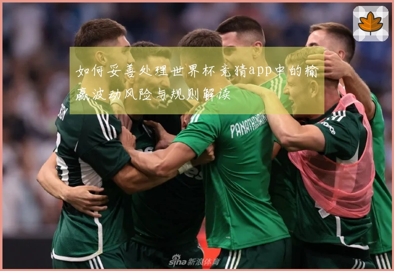 如何妥善处理世界杯竞猜app中的输赢波动风险与规则解读