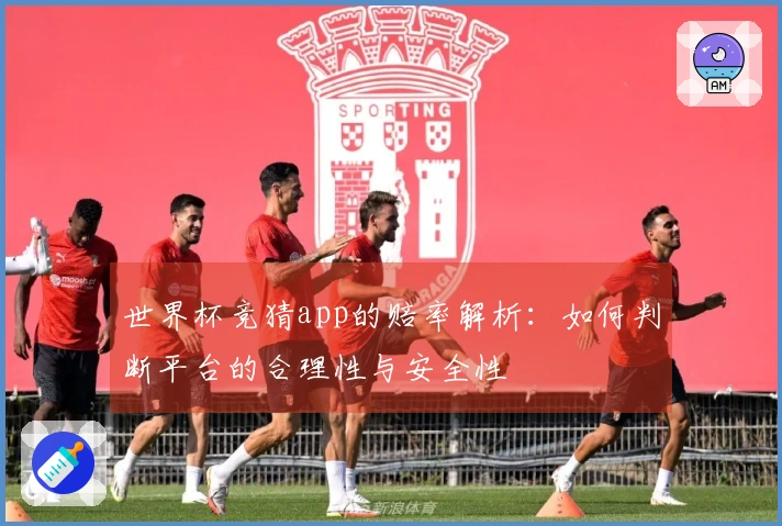 世界杯竞猜app的赔率解析：如何判断平台的合理性与安全性