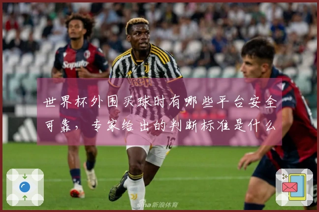 世界杯外围买球时有哪些平台安全可靠，专家给出的判断标准是什么