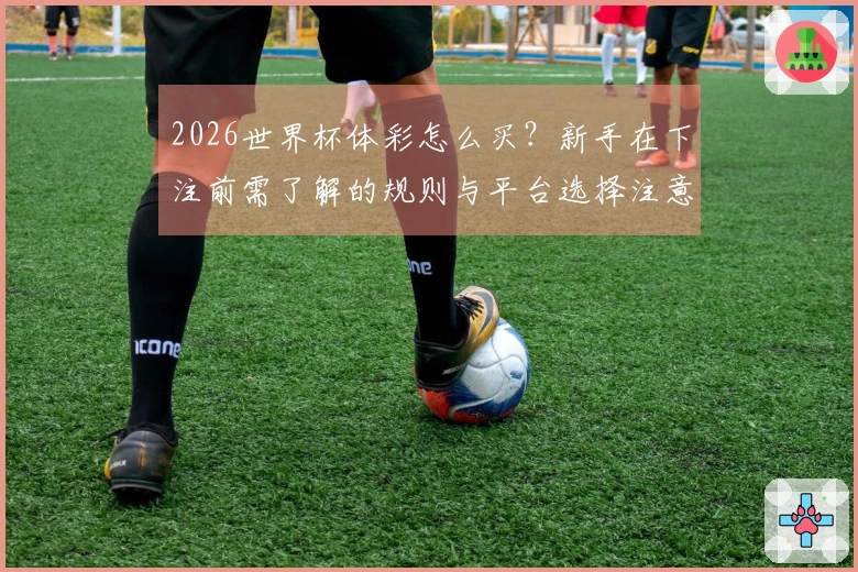 2026世界杯体彩怎么买？新手在下注前需了解的规则与平台选择注意事项