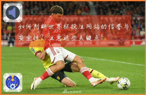 如何判断世界杯投注网站的信誉与安全性？注意这些关键点！