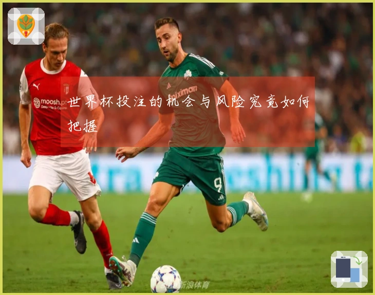 世界杯投注的机会与风险究竟如何把握