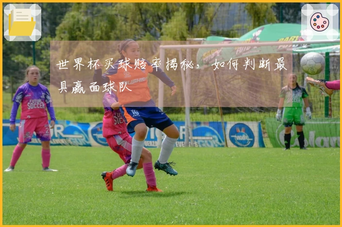 世界杯买球赔率揭秘，如何判断最具赢面球队