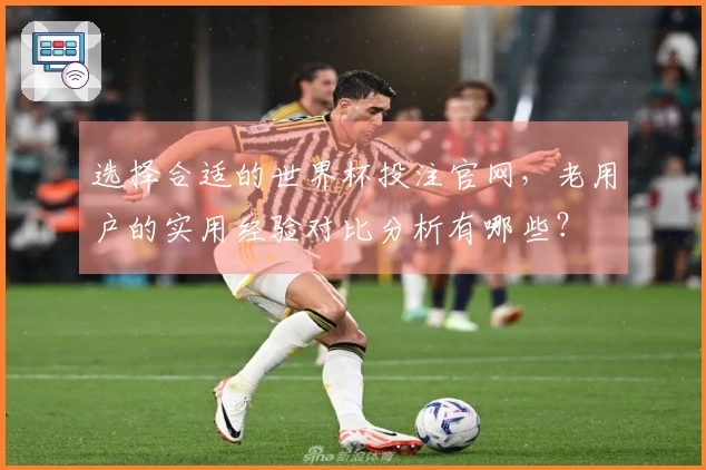 选择合适的世界杯投注官网，老用户的实用经验对比分析有哪些？