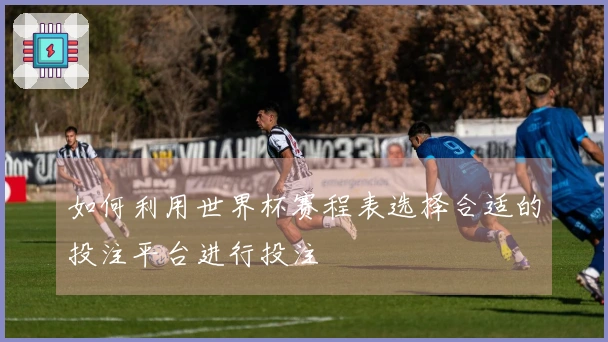 如何利用世界杯赛程表选择合适的投注平台进行投注