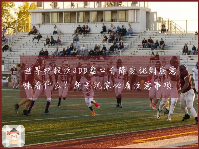 世界杯投注app盘口升降变化到底意味着什么？新手玩家必看注意事项