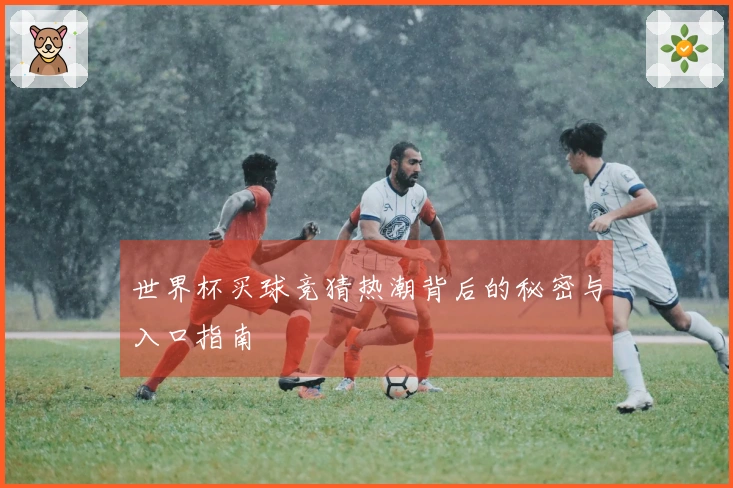 世界杯买球竞猜热潮背后的秘密与入口指南