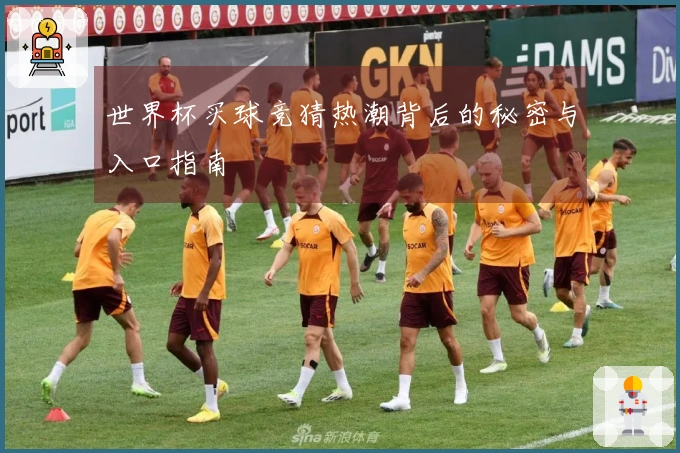 世界杯买球竞猜热潮背后的秘密与入口指南