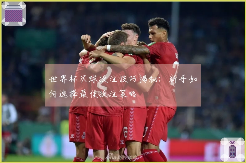世界杯买球投注技巧揭秘：新手如何选择最佳投注策略