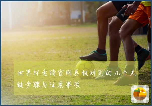 世界杯竞猜官网真假辨别的几个关键步骤与注意事项